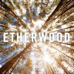 Etherwood – Unfolding